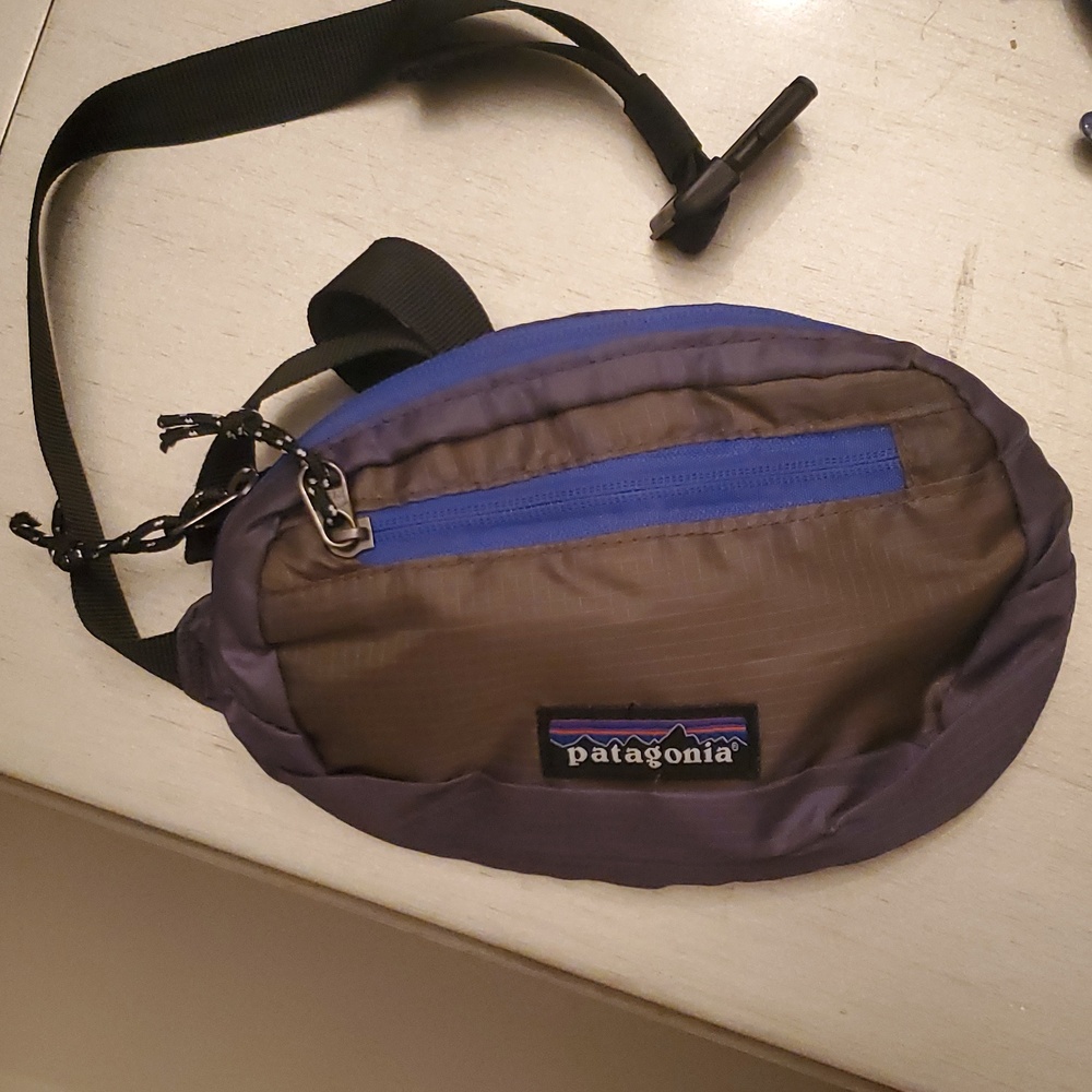 Patagonia Hip Bag